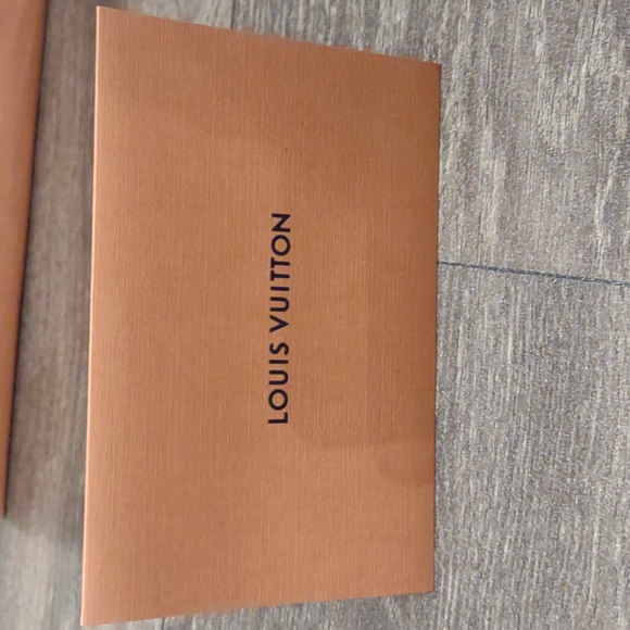 Authentic Louis Vuitton Gift Bag - Picture 8 of 9